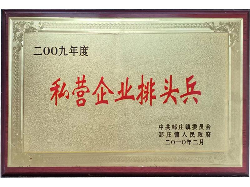 2009年度私營(yíng)企業(yè)排頭兵